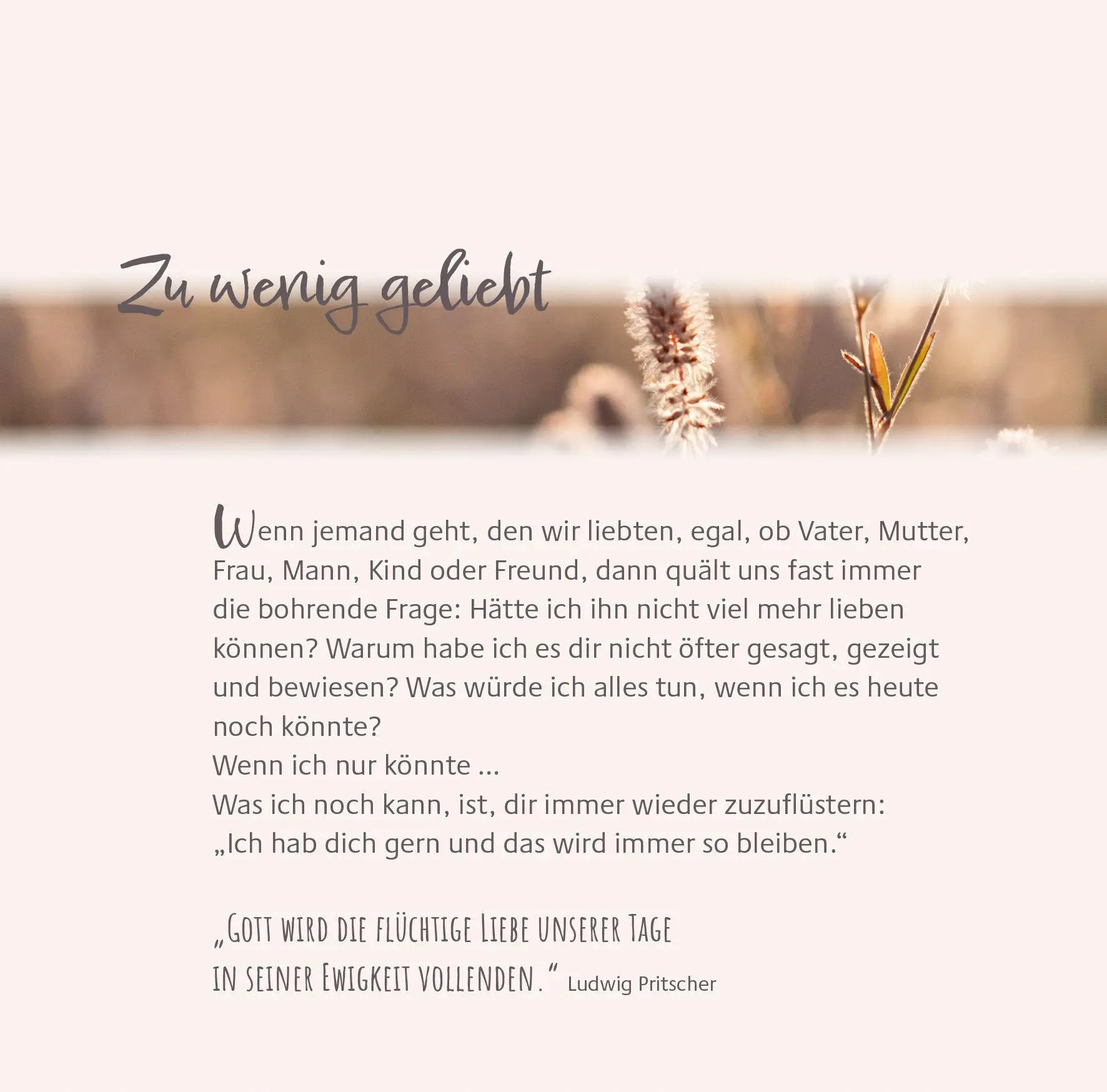 Bild: 9783766639417 | Trauer und Trost - Worte, die verwandeln | Ludwig Pritscher | Buch
