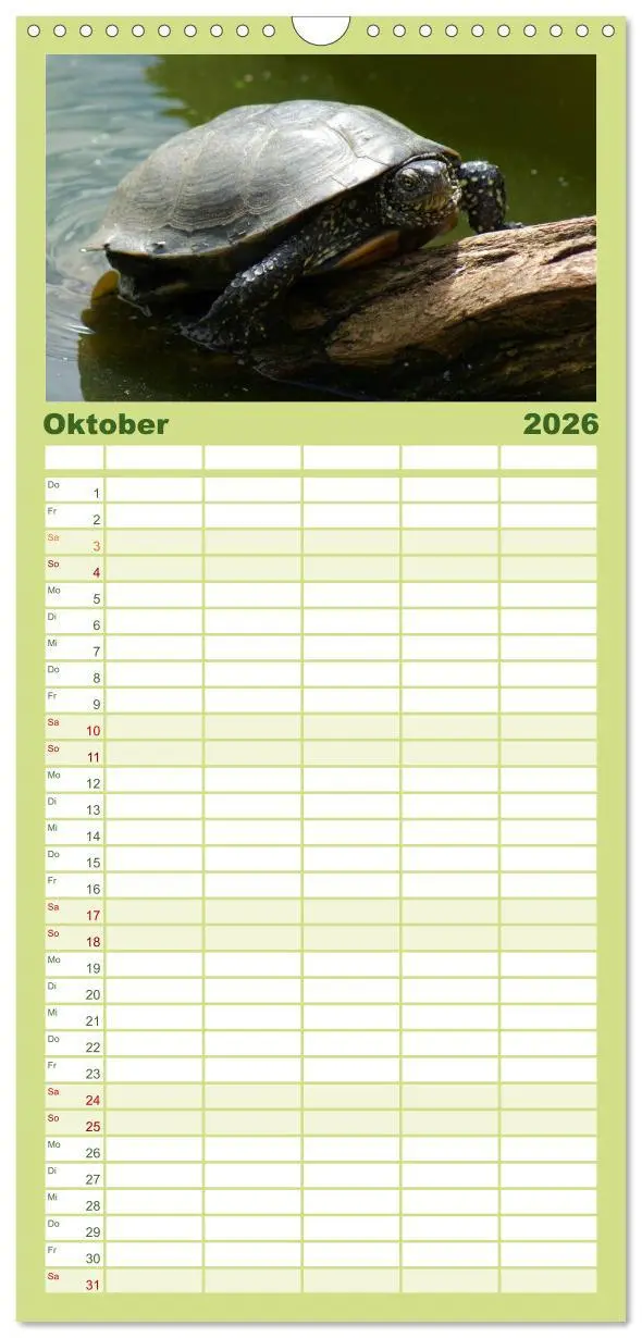 Bild: 9783516519617 | Familienplaner 2026 - Das Leben der Schildkröten mit 5 Spalten...