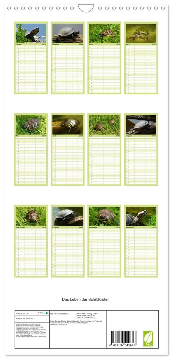 Bild: 9783516519617 | Familienplaner 2026 - Das Leben der Schildkröten mit 5 Spalten...
