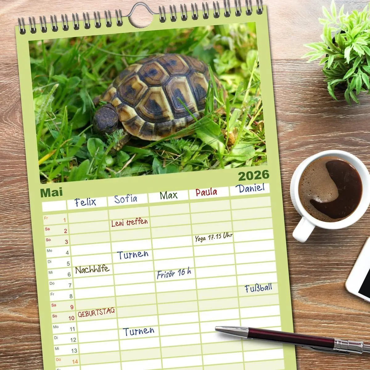 Bild: 9783516519617 | Familienplaner 2026 - Das Leben der Schildkröten mit 5 Spalten...
