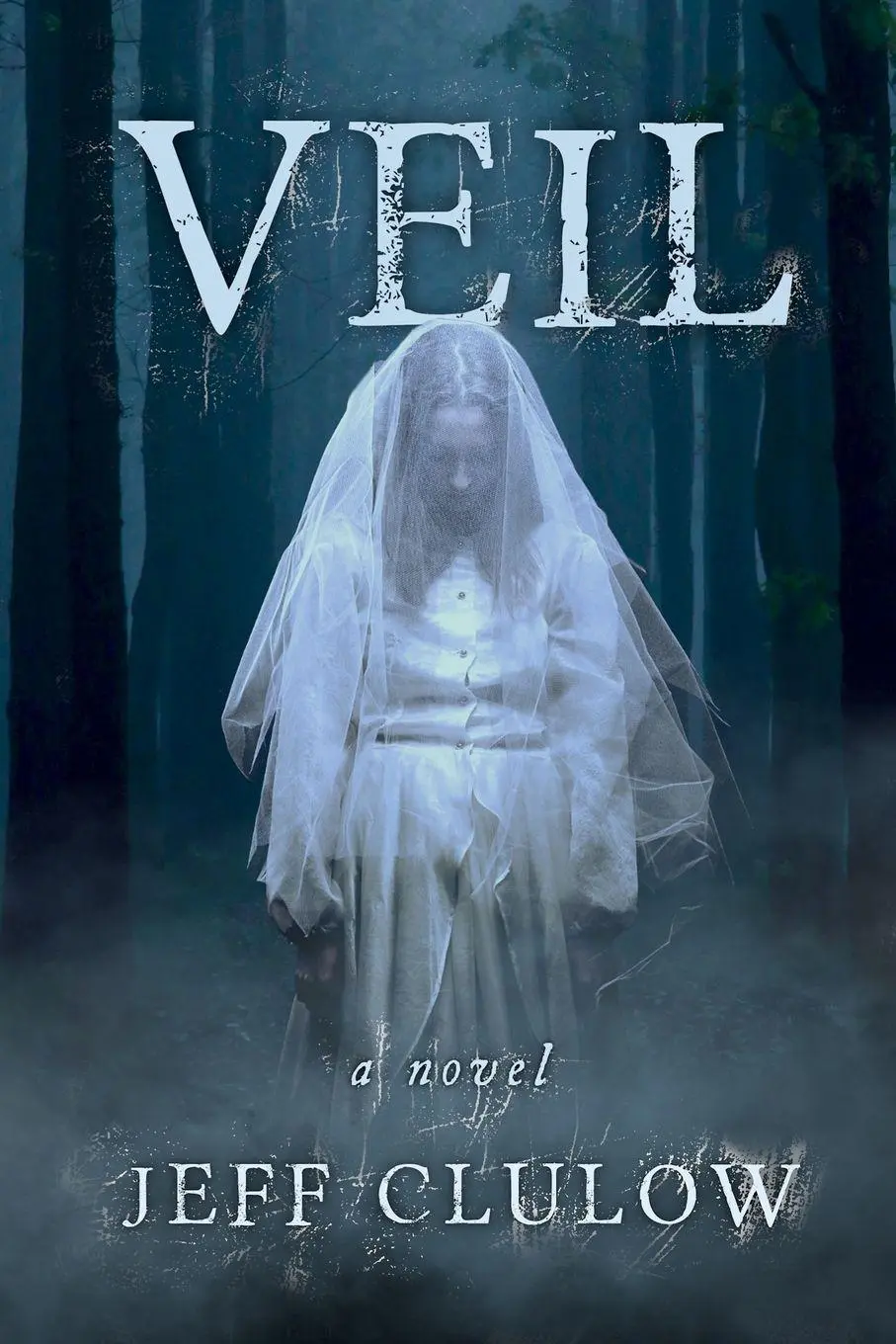 Cover: 9781764139717 | Veil | a novel | Jeff Clulow | Taschenbuch | Englisch | 2025