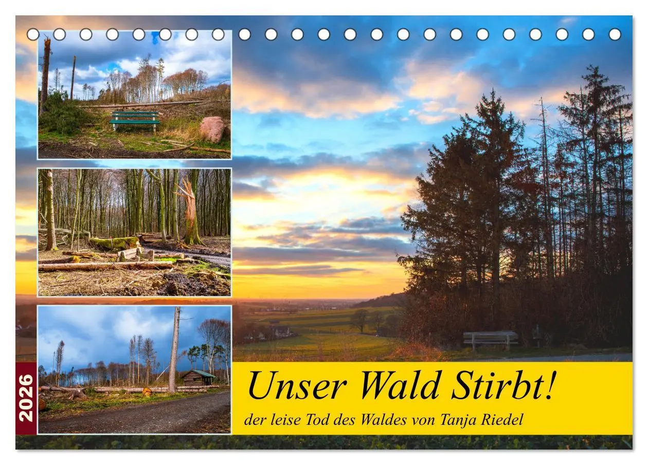 Cover: 9783457589717 | Unser Wald Stirbt (Tischkalender 2026 DIN A5 quer), CALVENDO...