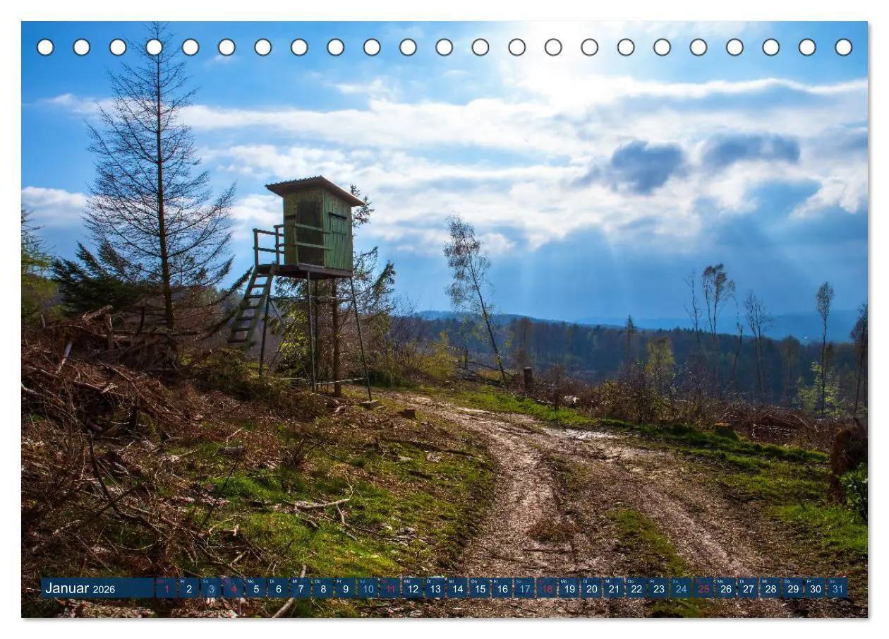 Bild: 9783457589717 | Unser Wald Stirbt (Tischkalender 2026 DIN A5 quer), CALVENDO...