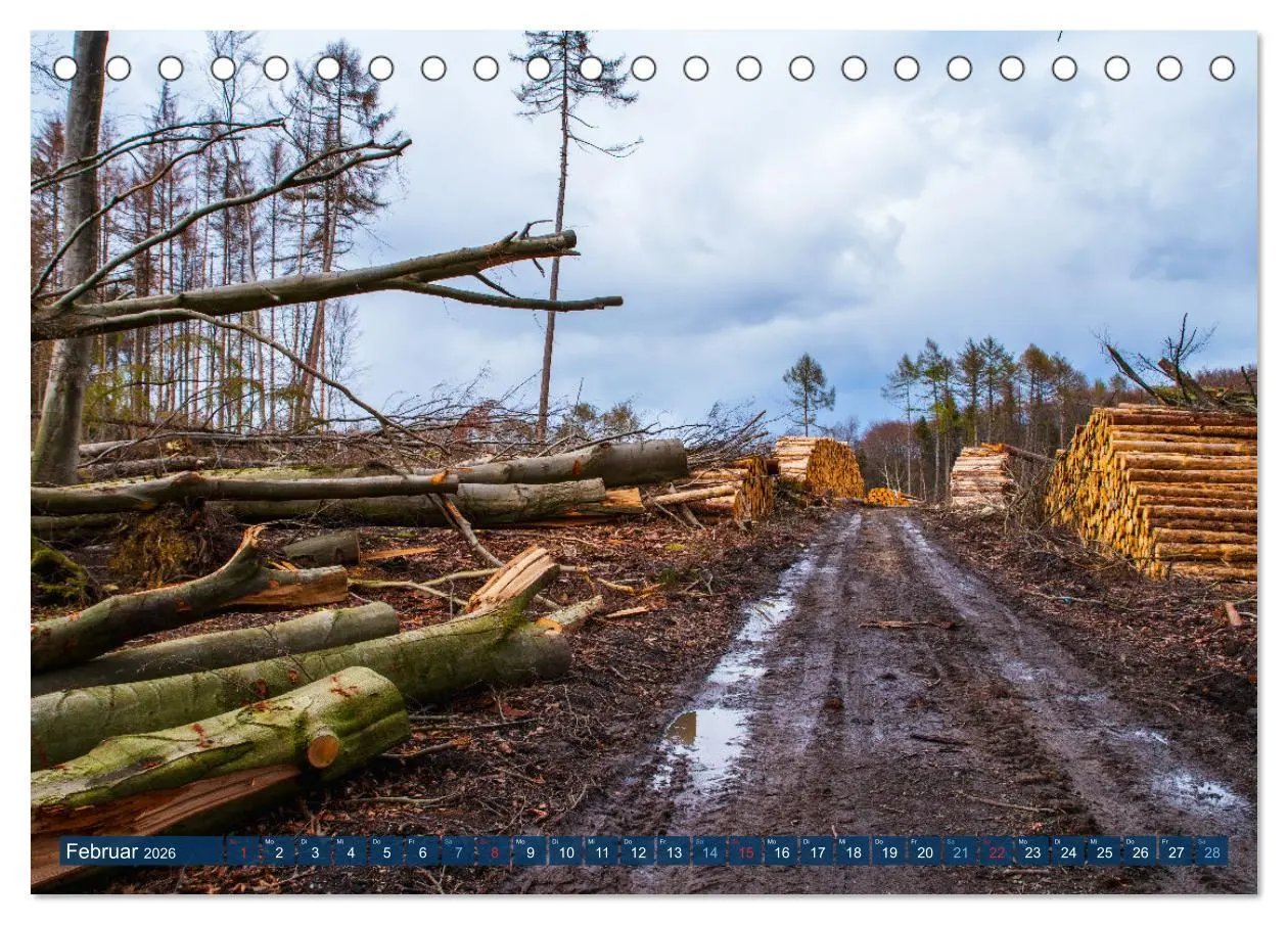 Bild: 9783457589717 | Unser Wald Stirbt (Tischkalender 2026 DIN A5 quer), CALVENDO...