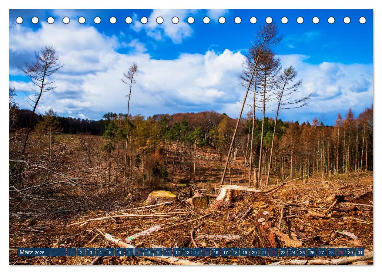 Bild: 9783457589717 | Unser Wald Stirbt (Tischkalender 2026 DIN A5 quer), CALVENDO...