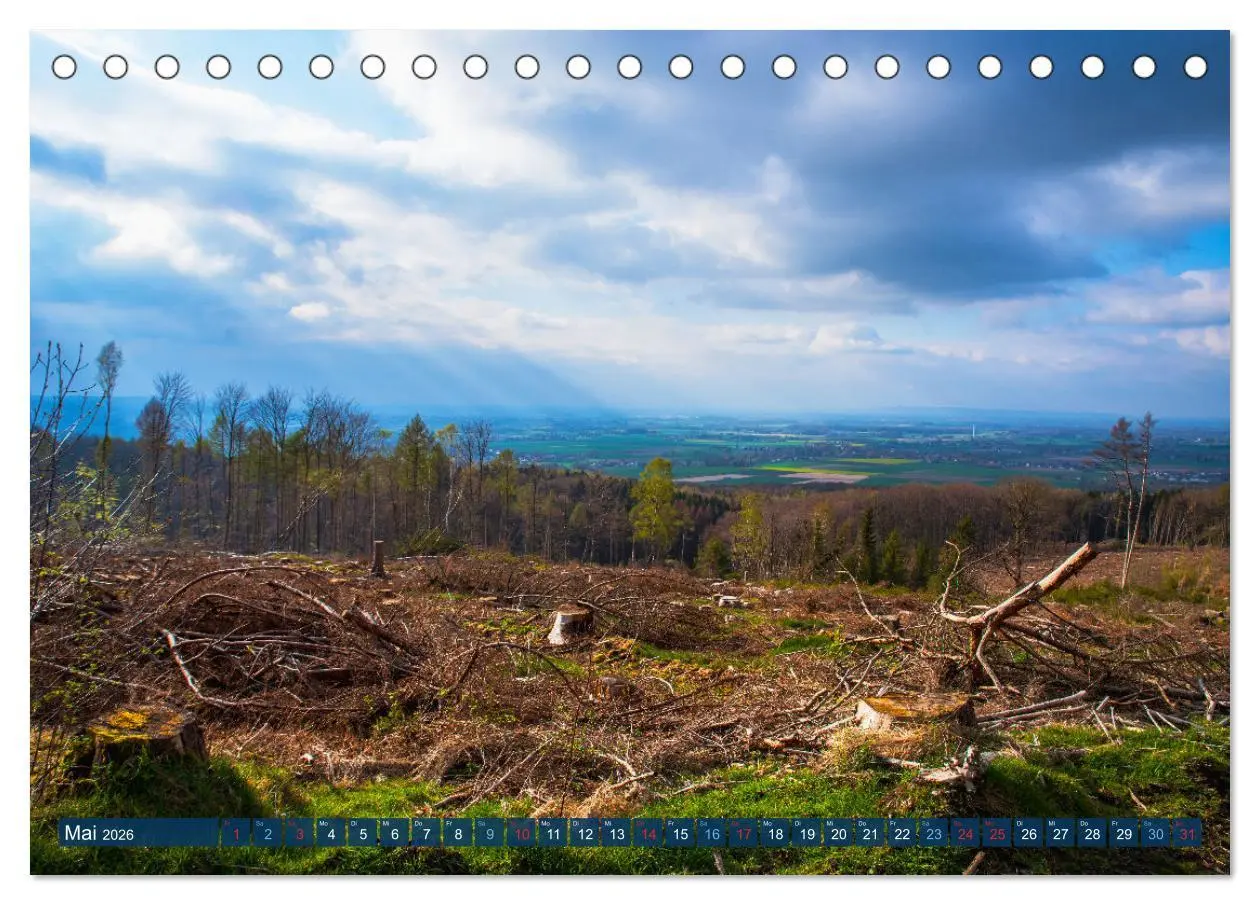 Bild: 9783457589717 | Unser Wald Stirbt (Tischkalender 2026 DIN A5 quer), CALVENDO...
