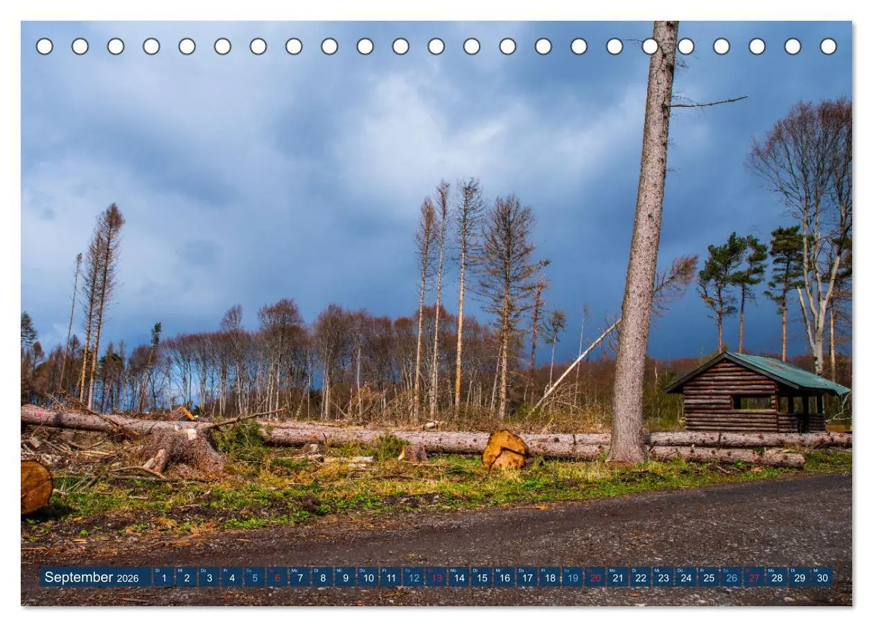 Bild: 9783457589717 | Unser Wald Stirbt (Tischkalender 2026 DIN A5 quer), CALVENDO...