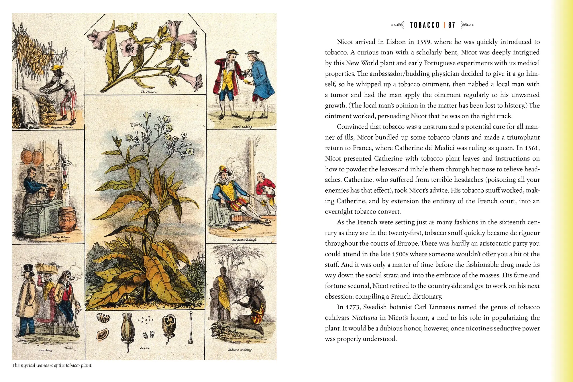 Bild: 9780761189817 | Quackery | A Brief History of the Worst Ways to Cure Everything | Buch