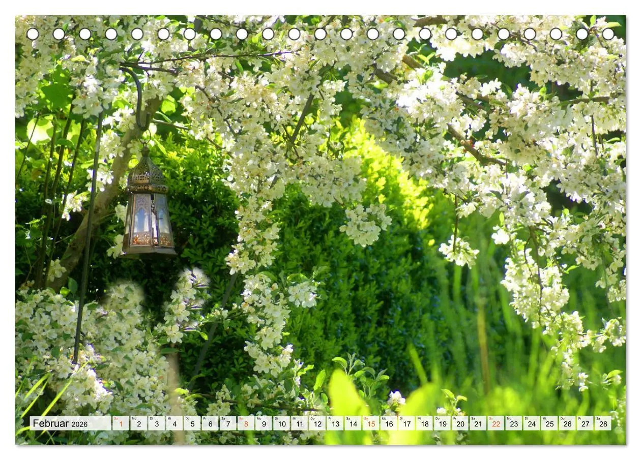 Bild: 9783457269817 | Momente im Garten (Tischkalender 2026 DIN A5 quer), CALVENDO...