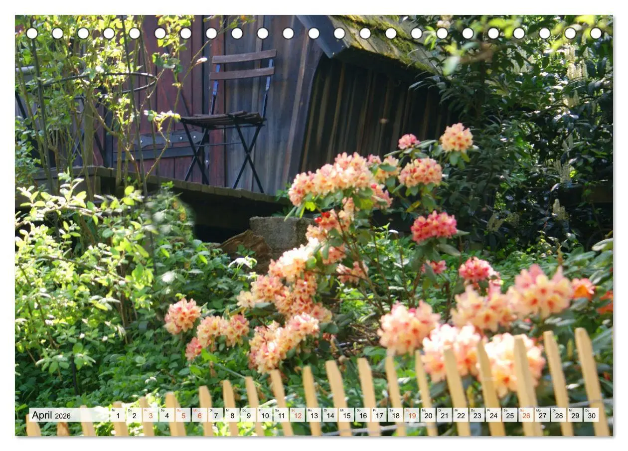 Bild: 9783457269817 | Momente im Garten (Tischkalender 2026 DIN A5 quer), CALVENDO...