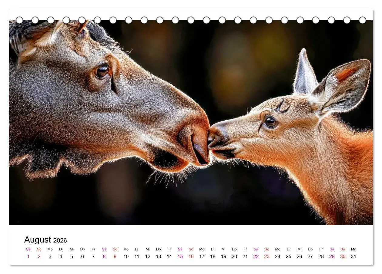 Bild: 9783457339817 | Elche - die Stimme der Wildnis (Tischkalender 2026 DIN A5 quer),...