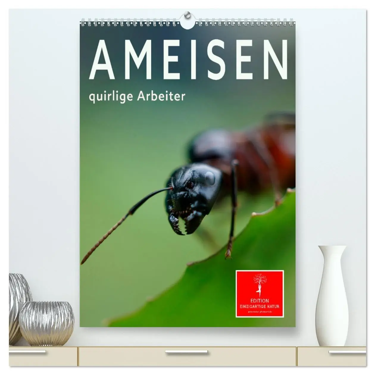 Cover: 9783516349917 | Ameisen quirlige Arbeiter (hochwertiger Premium Wandkalender 2026...