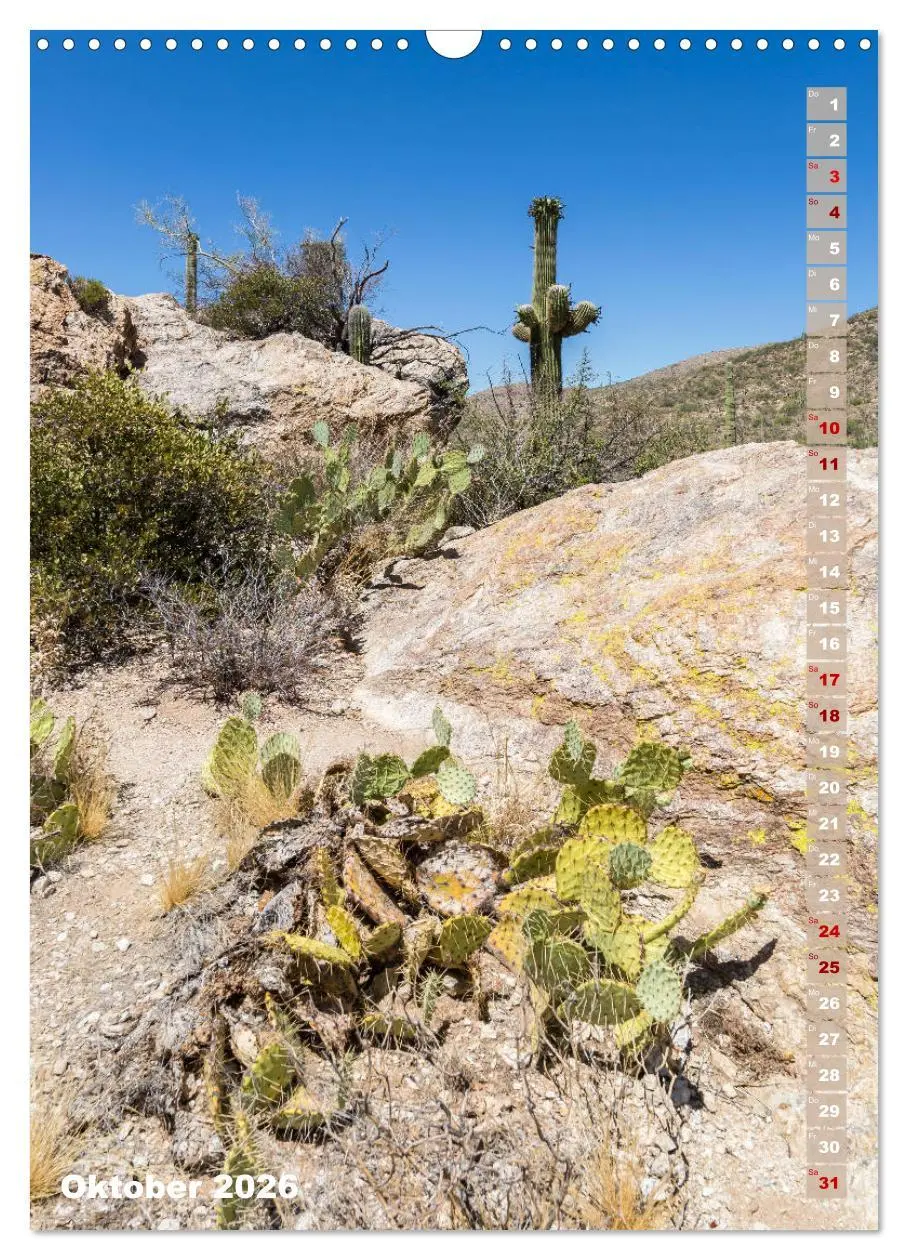 Bild: 9783516390018 | SAGUARO NATIONAL PARK Wüstenimpressionen aus Arizona (Wandkalender...