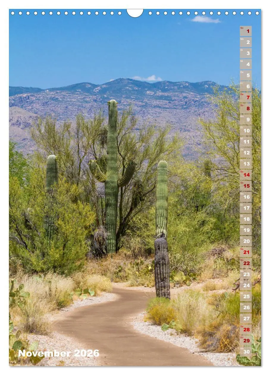 Bild: 9783516390018 | SAGUARO NATIONAL PARK Wüstenimpressionen aus Arizona (Wandkalender...