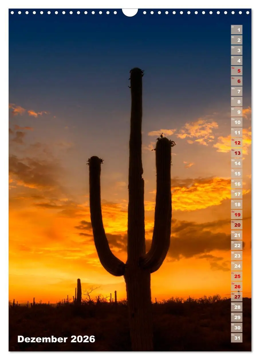 Bild: 9783516390018 | SAGUARO NATIONAL PARK Wüstenimpressionen aus Arizona (Wandkalender...