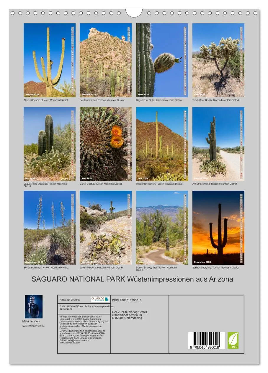 Bild: 9783516390018 | SAGUARO NATIONAL PARK Wüstenimpressionen aus Arizona (Wandkalender...