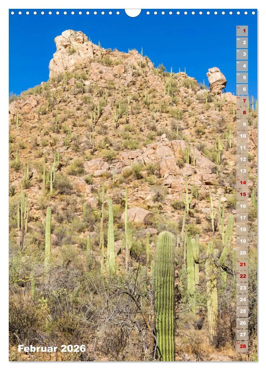 Bild: 9783516390018 | SAGUARO NATIONAL PARK Wüstenimpressionen aus Arizona (Wandkalender...