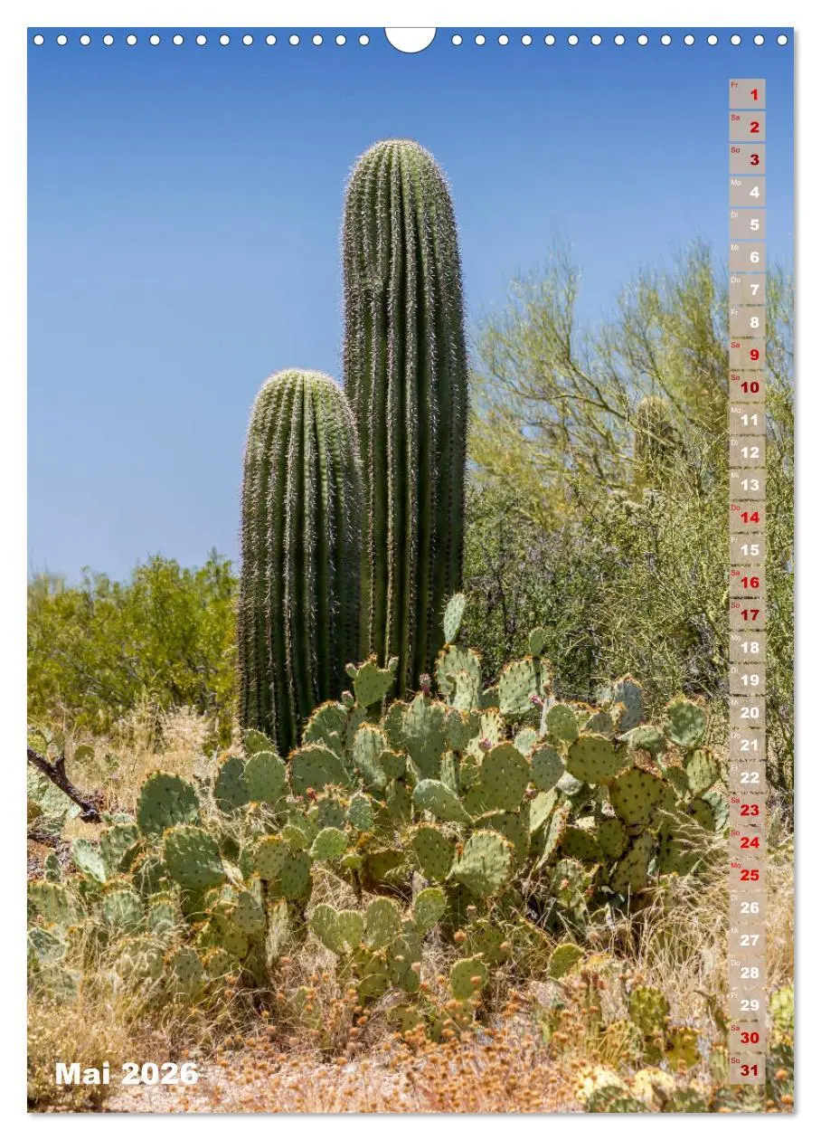 Bild: 9783516390018 | SAGUARO NATIONAL PARK Wüstenimpressionen aus Arizona (Wandkalender...