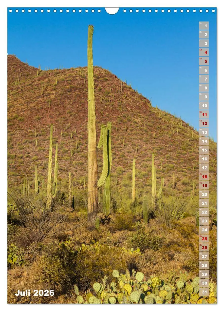 Bild: 9783516390018 | SAGUARO NATIONAL PARK Wüstenimpressionen aus Arizona (Wandkalender...