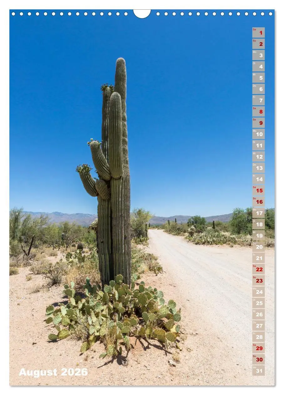 Bild: 9783516390018 | SAGUARO NATIONAL PARK Wüstenimpressionen aus Arizona (Wandkalender...