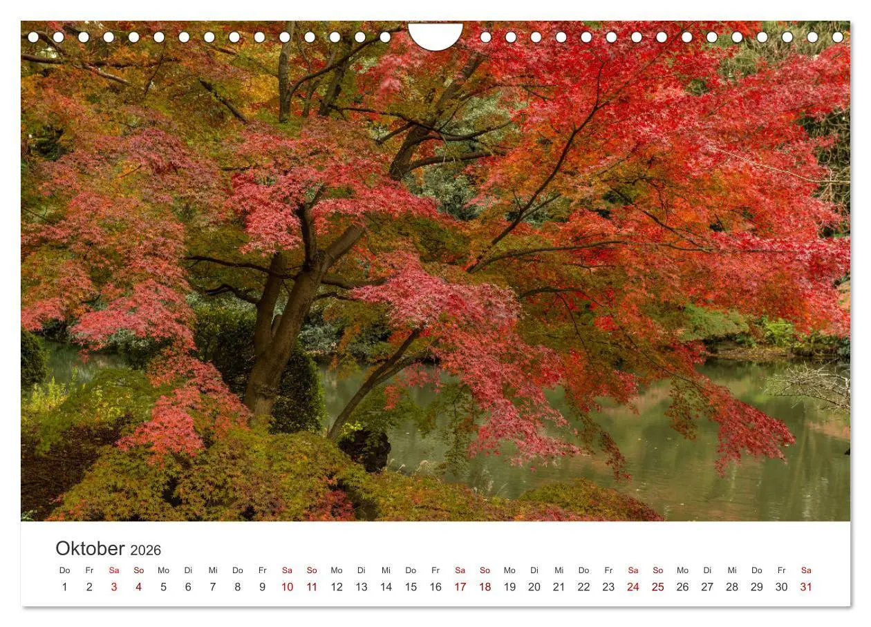 Bild: 9783457360118 | Japanischer Herbst und Laub (Wandkalender 2026 DIN A4 quer),...
