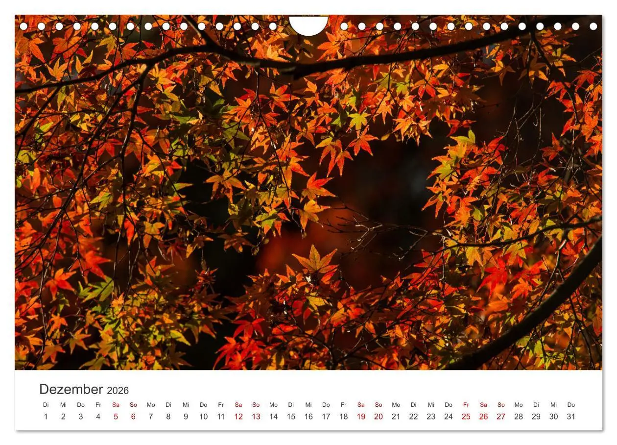 Bild: 9783457360118 | Japanischer Herbst und Laub (Wandkalender 2026 DIN A4 quer),...