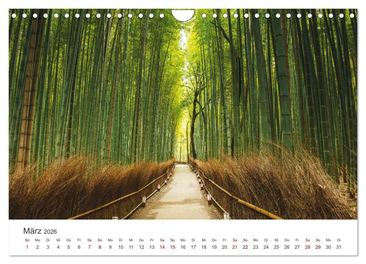 Bild: 9783457360118 | Japanischer Herbst und Laub (Wandkalender 2026 DIN A4 quer),...