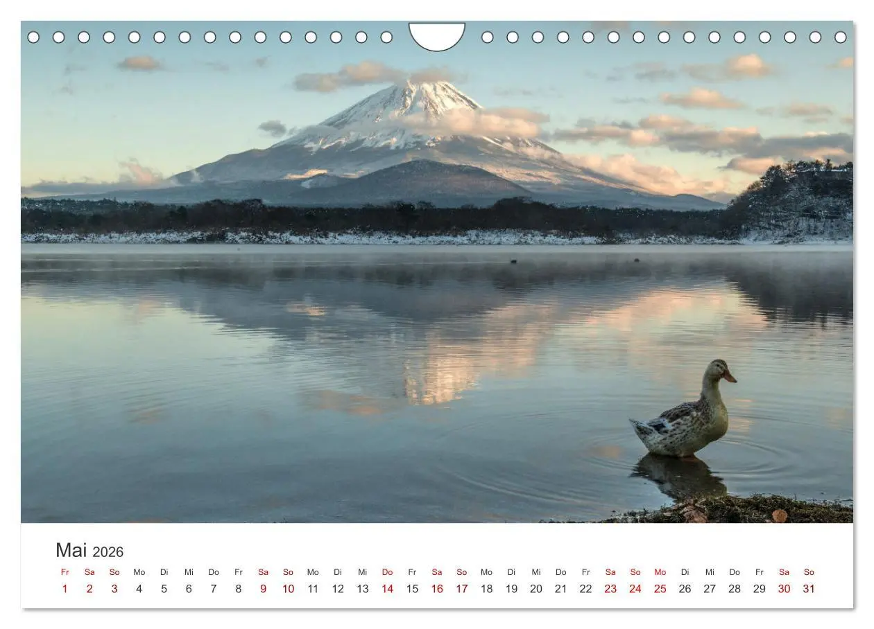 Bild: 9783457360118 | Japanischer Herbst und Laub (Wandkalender 2026 DIN A4 quer),...