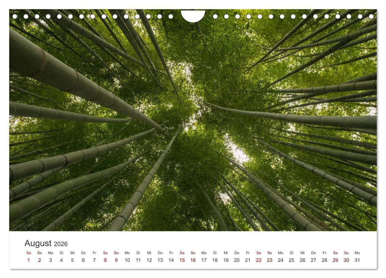 Bild: 9783457360118 | Japanischer Herbst und Laub (Wandkalender 2026 DIN A4 quer),...