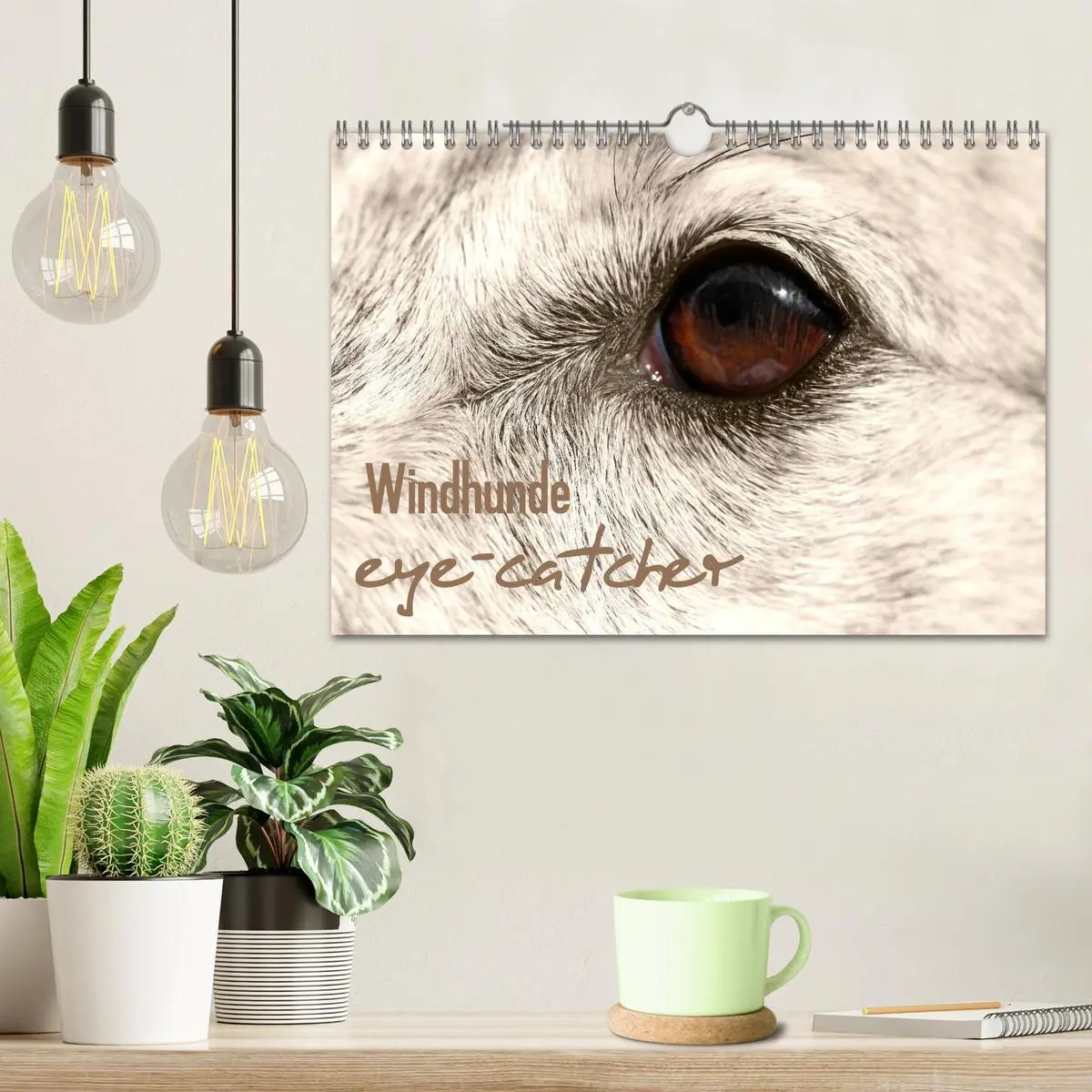 Bild: 9783457980118 | Windhunde eye-catcher (Wandkalender 2026 DIN A4 quer), CALVENDO...