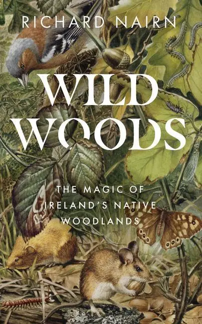 Cover: 9780717190218 | Wild Woods | The Magic of Ireland's Native Woodlands | Richard Nairn