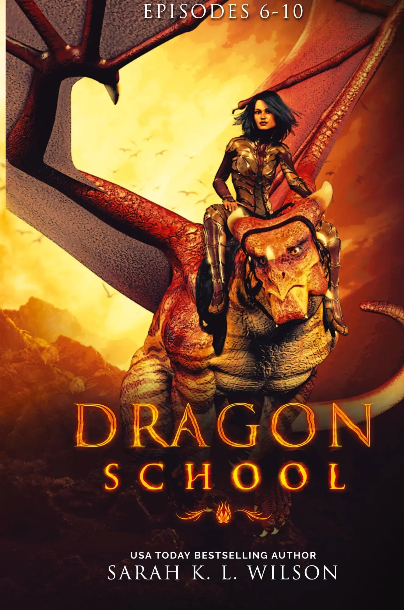 Cover: 9780987850218 | Dragon School | Episodes 6-10 | Sarah K L Wilson | Buch | Gebunden