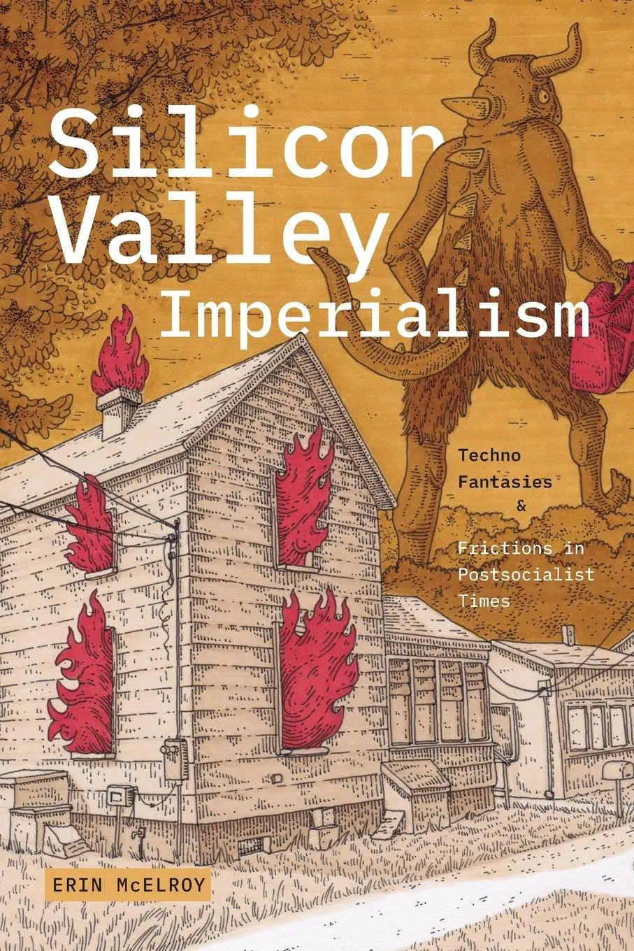 Cover: 9781478030218 | Silicon Valley Imperialism | Erin McElroy | Taschenbuch | Englisch