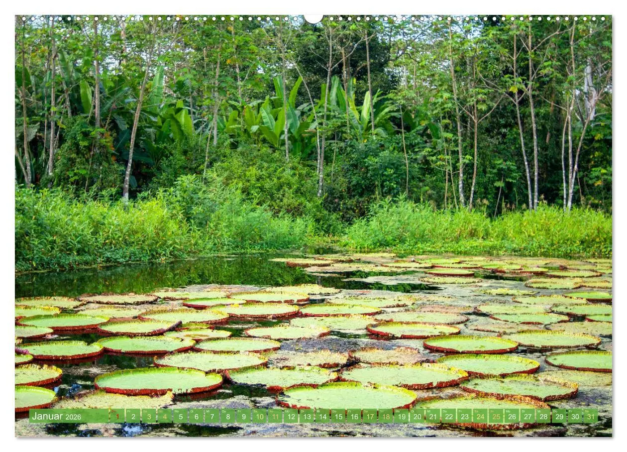 Bild: 9783457280218 | Der Amazonas: von den Anden zum Atlantik (hochwertiger Premium...