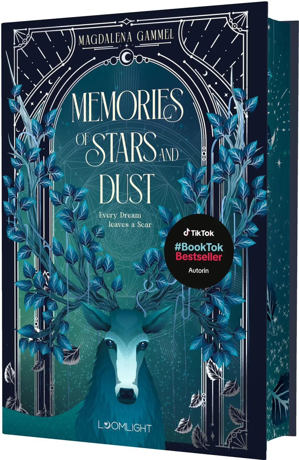 Cover: 9783522900218 | Tale of Sun and Night 2: Memories of Stars and Dust | Magdalena Gammel