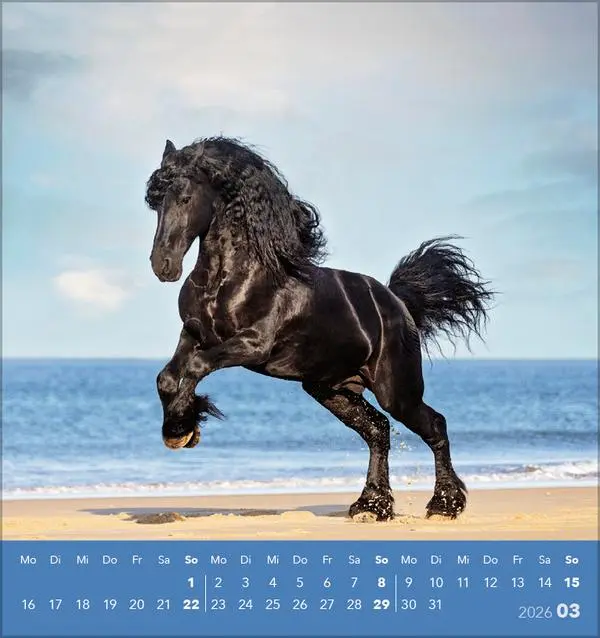 Bild: 9783731890218 | Traumpferde 2026 | aufstellbarer Postkartenkalender | Verlag Korsch