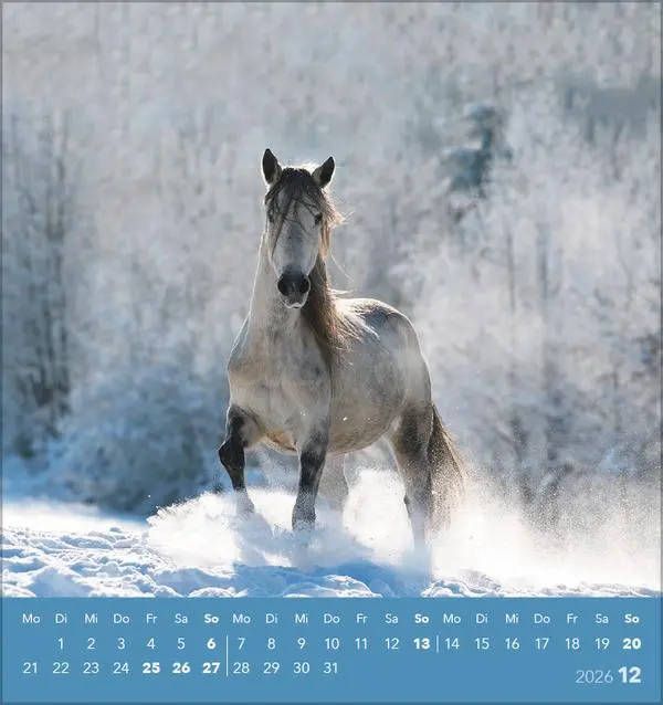 Bild: 9783731890218 | Traumpferde 2026 | aufstellbarer Postkartenkalender | Verlag Korsch