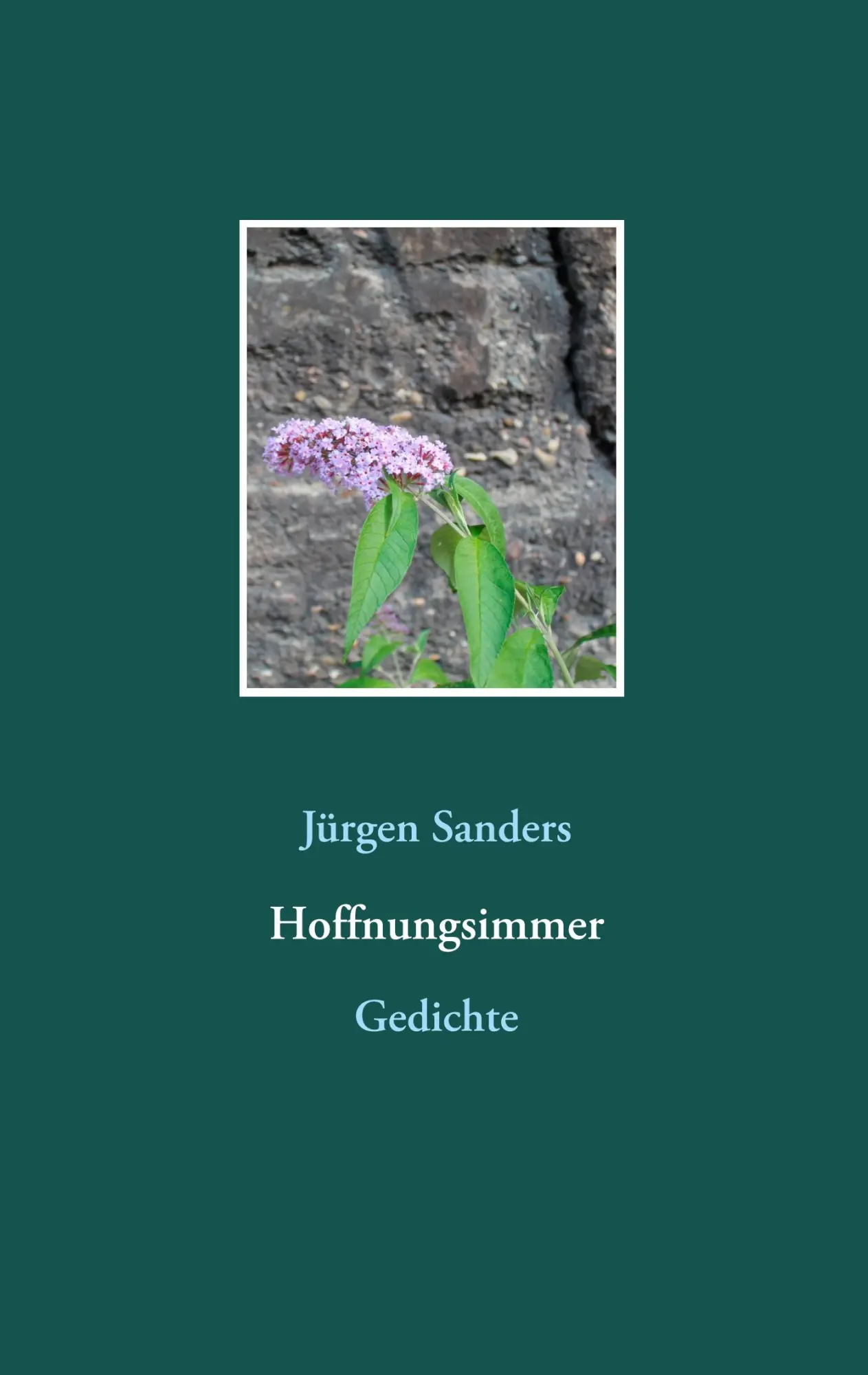 Cover: 9783750460218 | Hoffnungsimmer | Gedichte | Jürgen Sanders | Taschenbuch | 72 S.