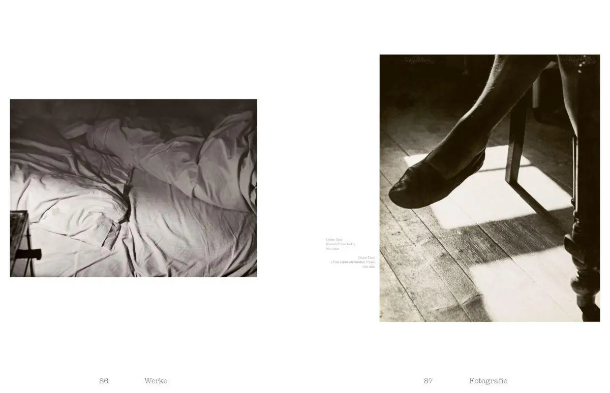 Bild: 9783775760218 | Raoul Hausmann (1886-1971). Vision. Provokation. Dada. | Buch | 304 S.