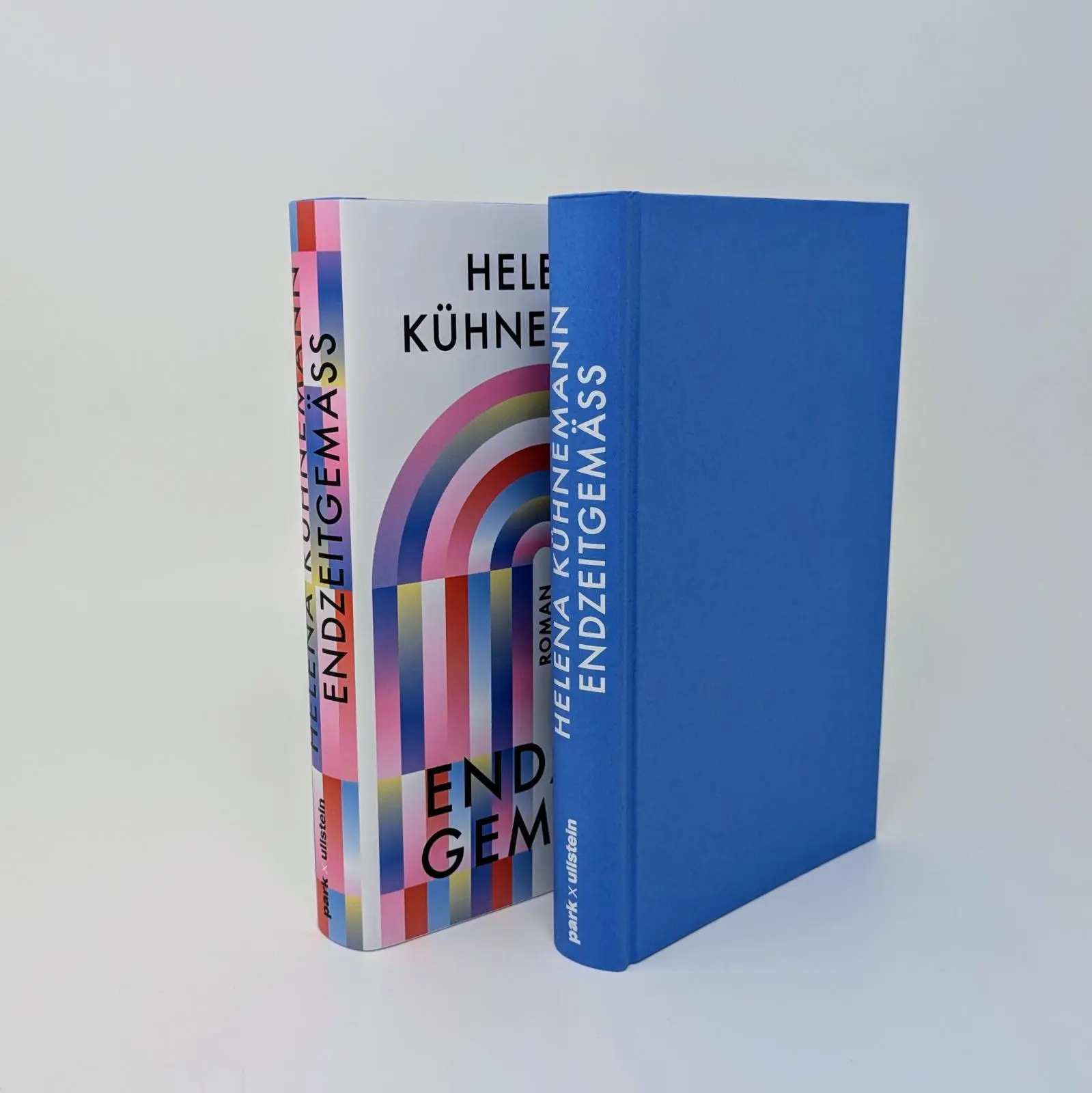 Bild: 9783988160218 | Endzeitgemäß | Helena Kühnemann | Buch | 288 S. | Deutsch | 2025