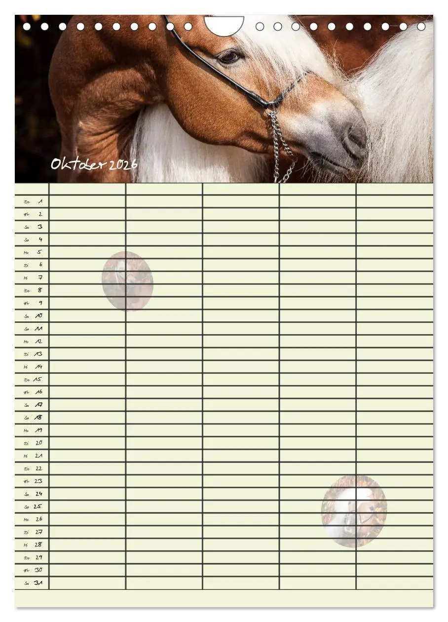 Bild: 9783516430318 | Haflinger Pferde - Stall- und Familienplaner 2026 (Wandkalender...