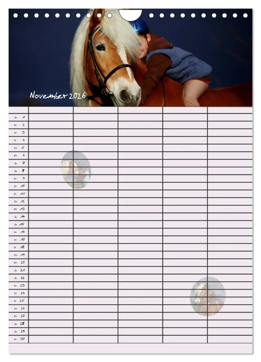 Bild: 9783516430318 | Haflinger Pferde - Stall- und Familienplaner 2026 (Wandkalender...