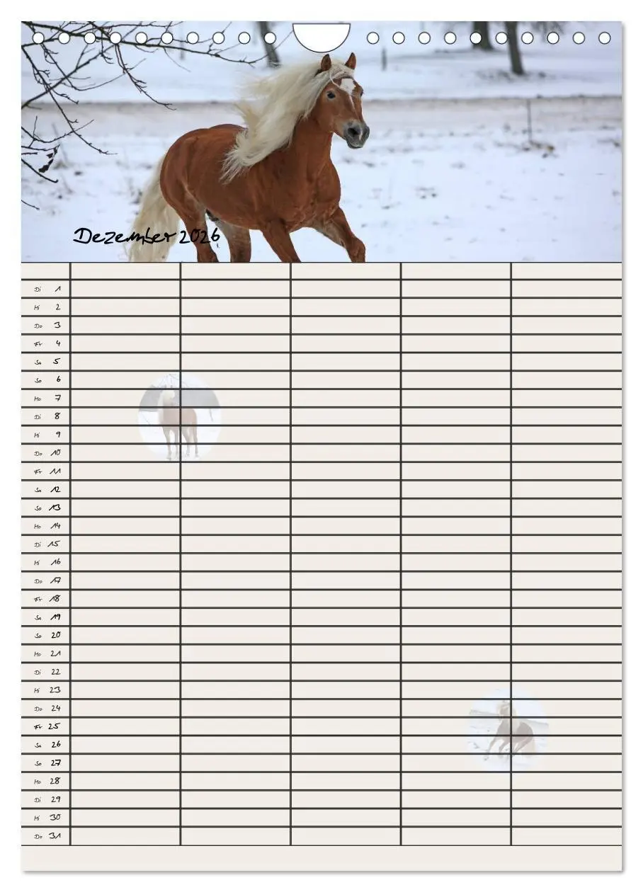 Bild: 9783516430318 | Haflinger Pferde - Stall- und Familienplaner 2026 (Wandkalender...
