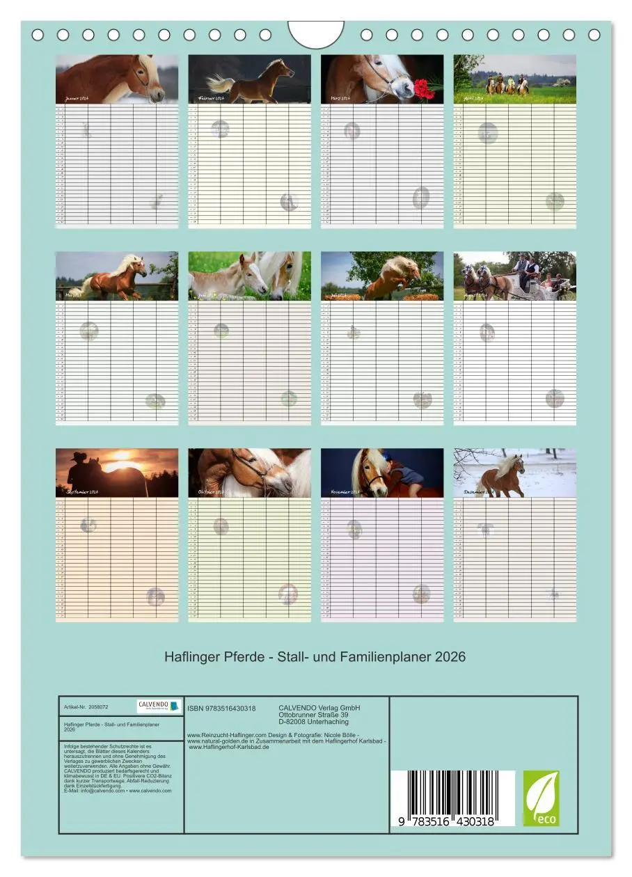 Bild: 9783516430318 | Haflinger Pferde - Stall- und Familienplaner 2026 (Wandkalender...