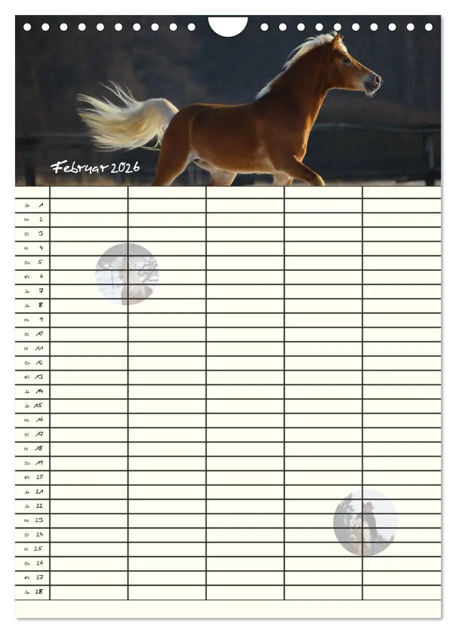 Bild: 9783516430318 | Haflinger Pferde - Stall- und Familienplaner 2026 (Wandkalender...