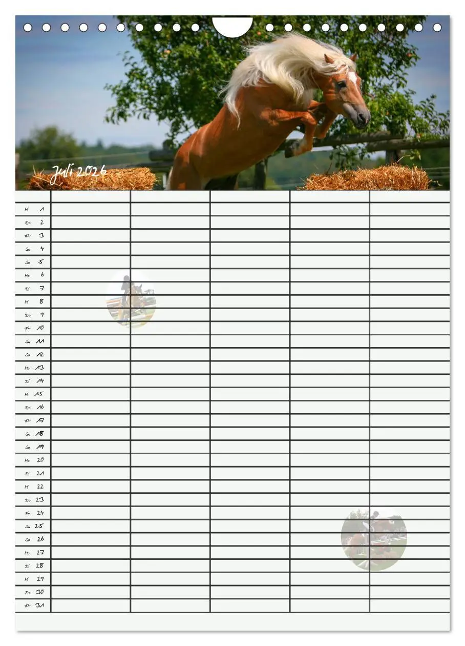 Bild: 9783516430318 | Haflinger Pferde - Stall- und Familienplaner 2026 (Wandkalender...
