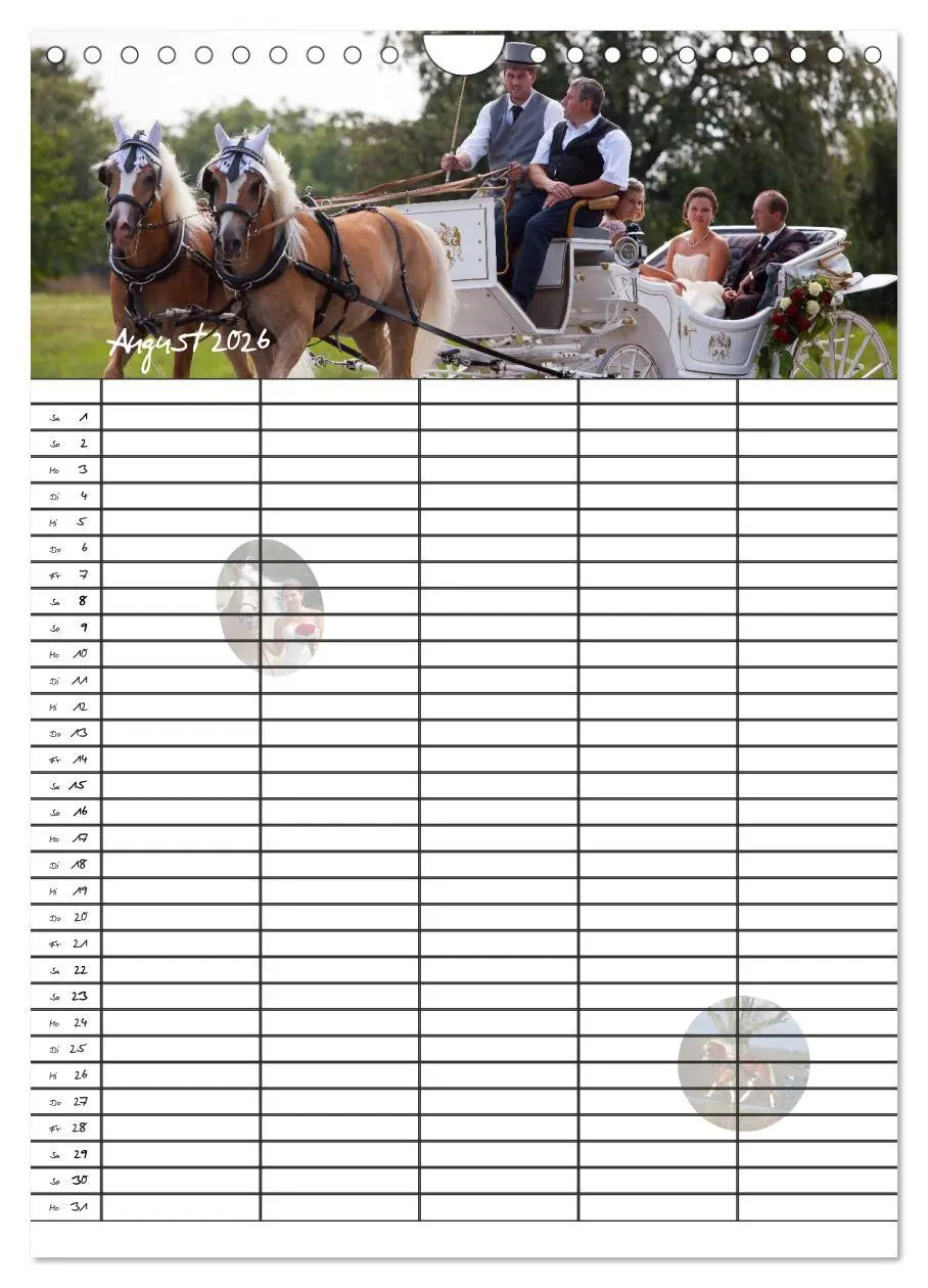 Bild: 9783516430318 | Haflinger Pferde - Stall- und Familienplaner 2026 (Wandkalender...