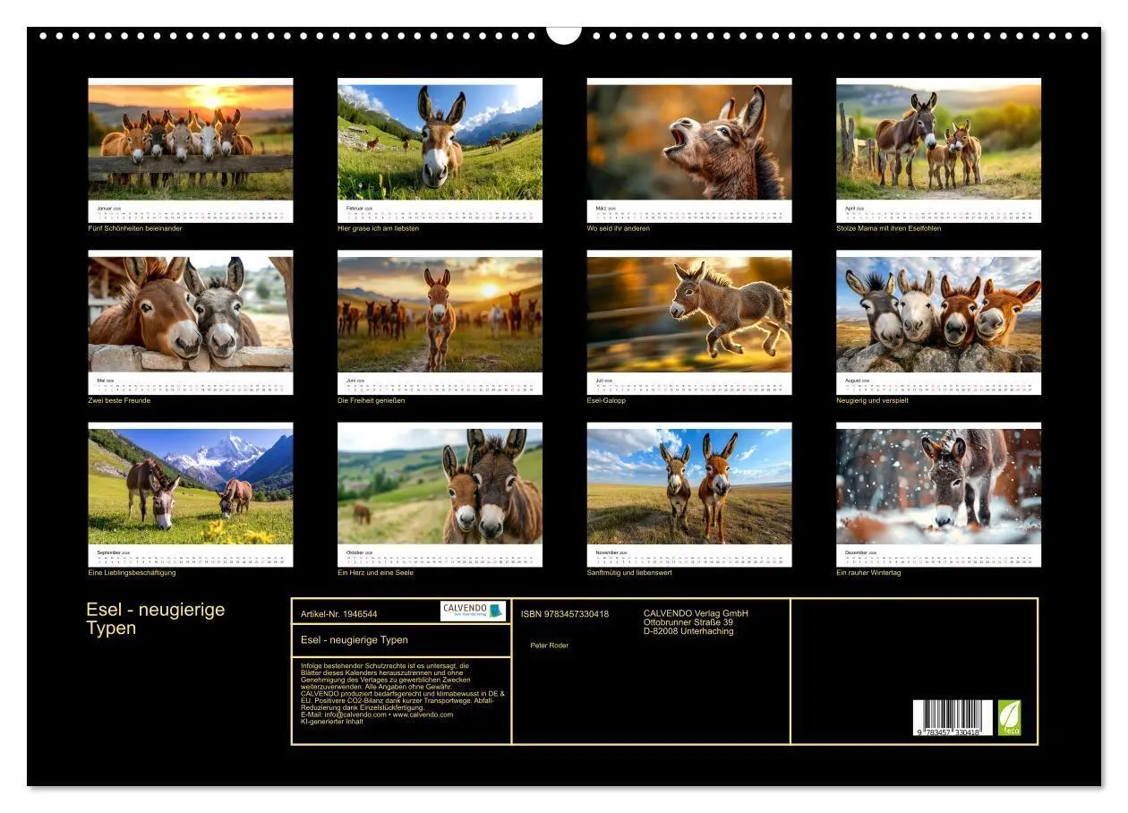 Bild: 9783457330418 | Esel - neugierige Typen (Wandkalender 2026 DIN A2 quer), CALVENDO...