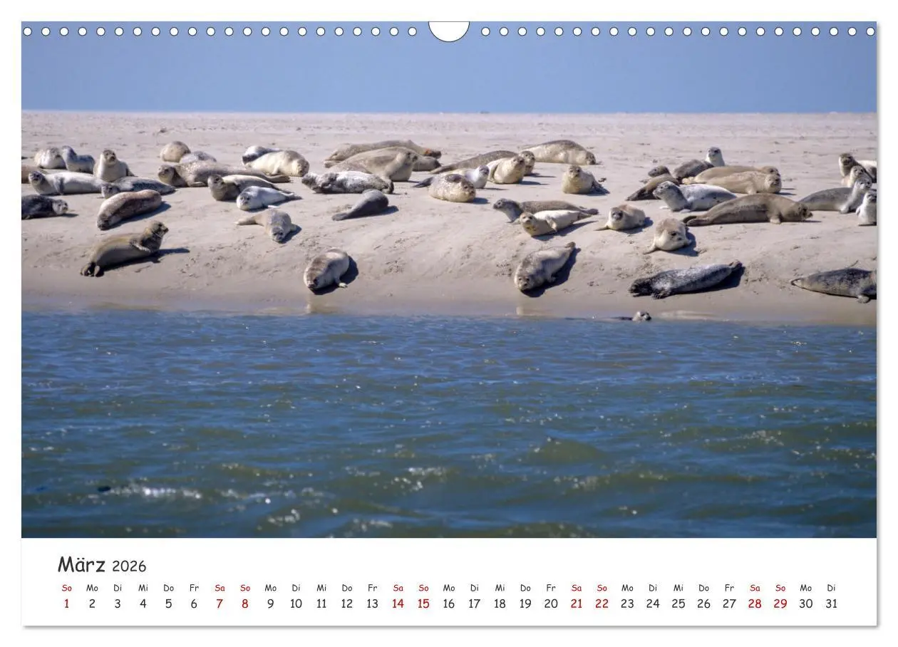 Bild: 9783457400418 | Nordsee, Meer, Strand und Wind (Wandkalender 2026 DIN A3 quer),...