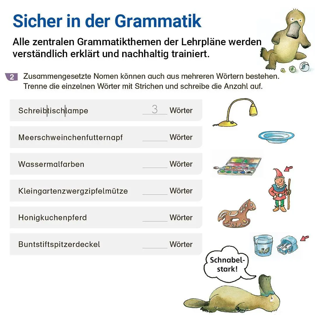 Bild: 9783619620418 | Grammatik mit Rico Schnabel, Klasse 6 | Stefanie Drecktrah (u. a.)